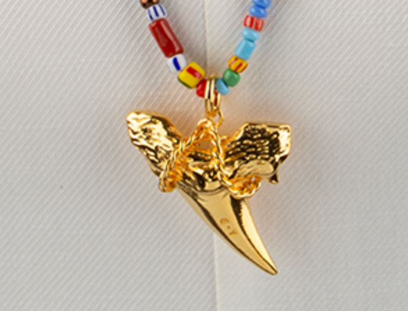 Funky Escualo Long Necklace with Shark Tooth